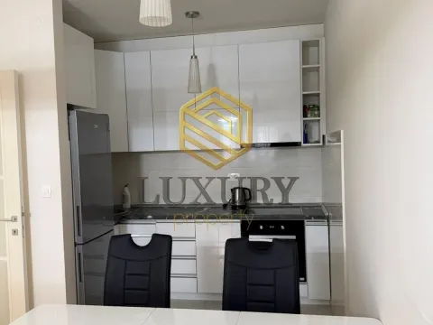 Izdavanje, jednosoban stan, 50m², Central Point, Podgorica - image 4
