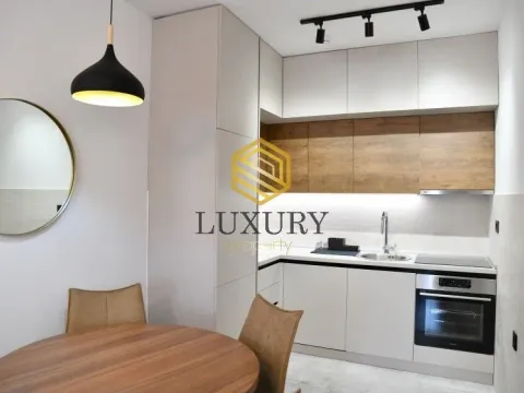 Rent, one bedroom apartment, 45m², Ljubović, Podgorica - image 5